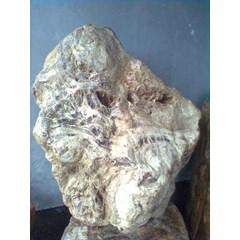 fosil kayu # 013#
