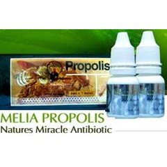 melia propolis
