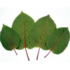 borneo kratom crushed - deveined