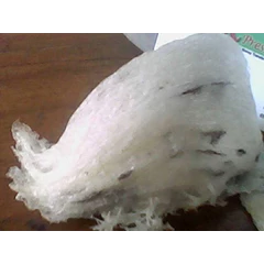 sarang burung walet
