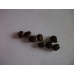 cover crop, pj, cm, mb, cc, cp, crj