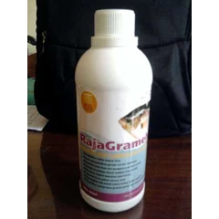 rajagrameh - pemacu pertumbuhan gurami hub: yudhi 085654237113