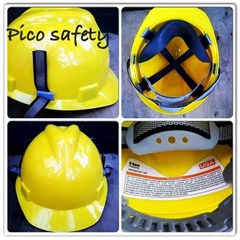 helm proyek usa