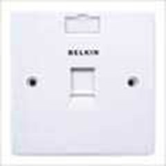 belkin face plate