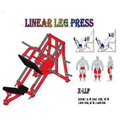 leg press 45”