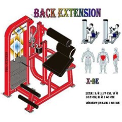 lower back extension