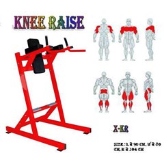 leg raise / dip