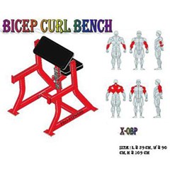 seated preacher curl