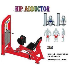 inner thigh adductor