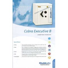 chubb safes 