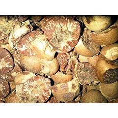 betel nut