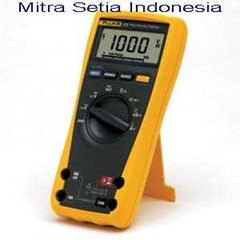 fluke 175