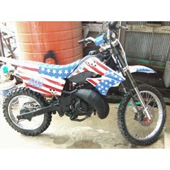 suzuki satria