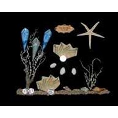 mahar hias bintang laut