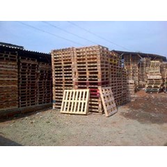 pallet kayu