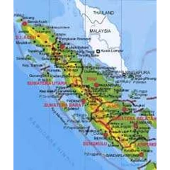 suara walet sumatera utara