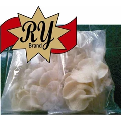 jamur tiram