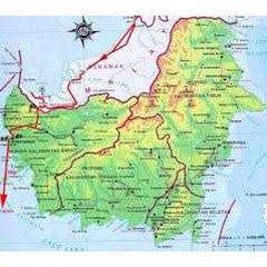 suara walet banjarmasin ( kalimantan selatan)