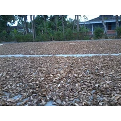 lengkuas ( laos) kering