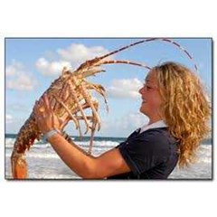 lobster beku/ frozen
