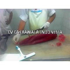 fresh tuna loin
