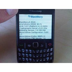 blackberry