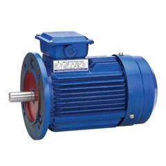 western motor electric