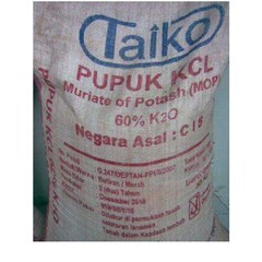 kcl / mop taiko