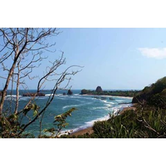 tanjung papuma