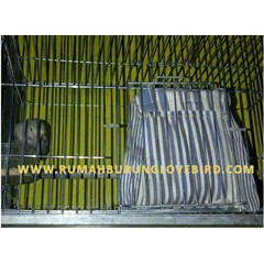 ada jual kandang burung lovebird, terbuat dari bahan stainless steel, kuat dan tidak mudah rusak, lebih elegan & menarik, untuk menempatkan binatang piaraan, kandang lovebird, kandang burung, burung, burung berkicau, burung lomba, jual burung, beli burung