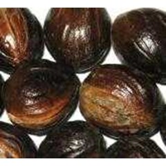 nutmeg with shell