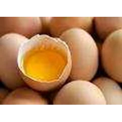 telur ayam negri