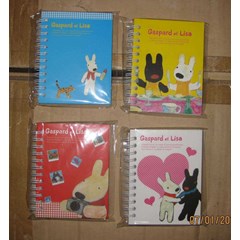 buku spiral ( ring book) gaspard et lisa