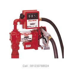 12/ 24 volts dc rotary vane pump