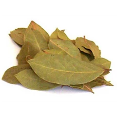 minyak daun cengkeh ( clove leaf oil)