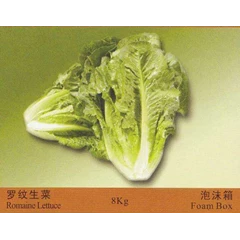 romance lettuce ( selada)