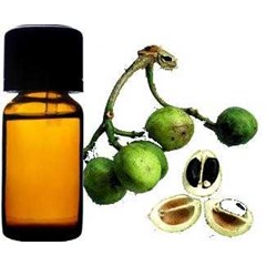 minyak jarak ( castor oil/ oleum ricini)