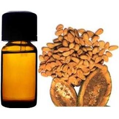 minyak coklat ( cacao oil)