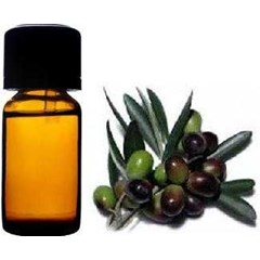 minyak zaitun ( olive oil)
