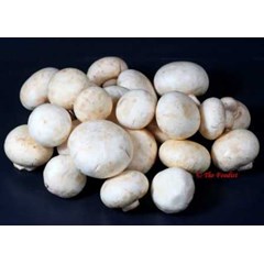 jamur champignon