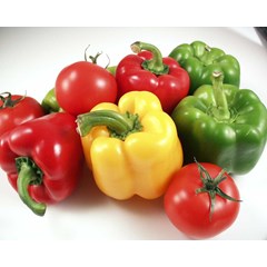 paprika merah, kuning, dan hijau