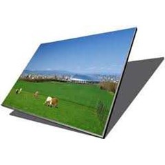 lcd panel laptop notebook untuk ibm thinkpad r60, ibm thinkpad r60e, ibm thinkpad t60, ibm thinkpad t60p, ibm thinkpad z60m, ibm thinkpad z61e, ibm thinkpad z61p