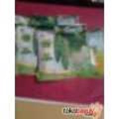 pelangsing pare qingzhi maxi slim ( efektif, cepat, dan aman )