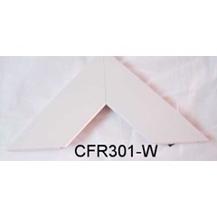 cf r301-w