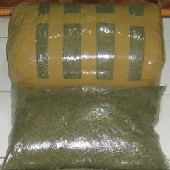 ogroex white kratom