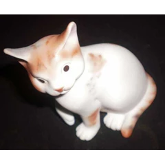 cute kitten