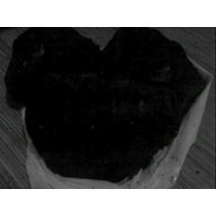 dijual : batubara asalan/ plump/ curah