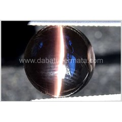elegant sharp cat' s eye strong ray ( bce 030)