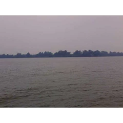 kerjasama pembangunan stokpile batubara, terminal cpo dan industri pabrik ( gudang ) di jambi.