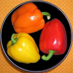 paprika orange